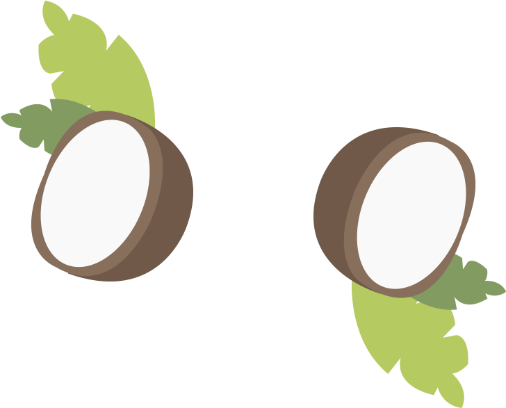Coconut Oil Large Illustrations - Circle (800x800)