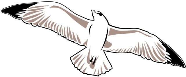 320 × 133 Pixels - Vector Graphics (640x267)