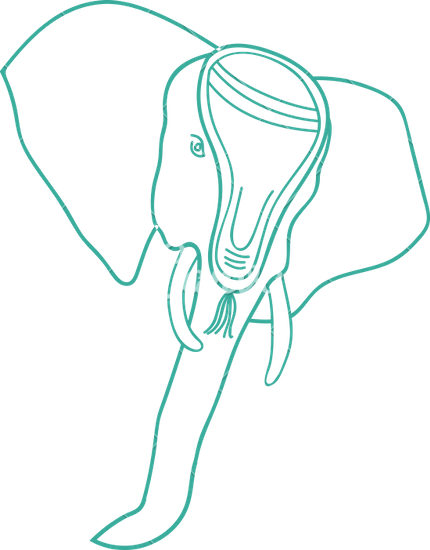 Elephant Face - Elephants (430x550)