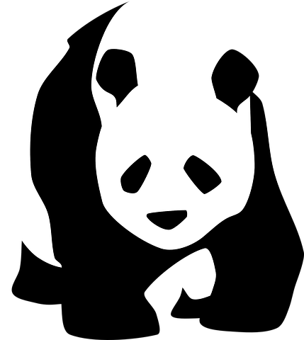 Panda, Walking, Face - Panda Black And White (572x640)
