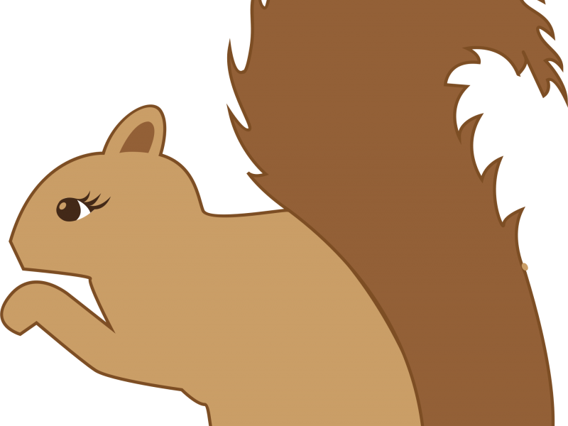 Squirrel Cartoon - Esquilo Que Trava O Celular (800x600)
