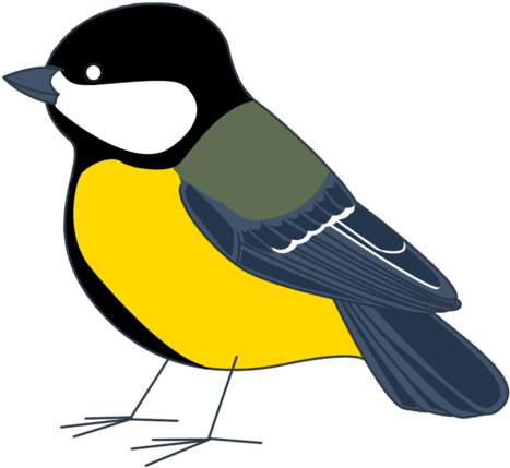 Great Tit By Silvergriffin - Great Tit Drawing (600x450)