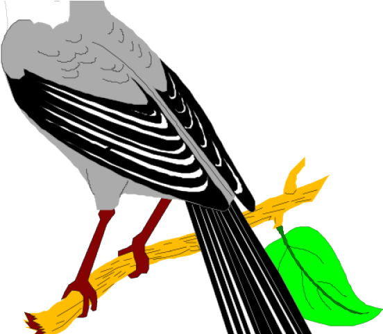 Mockingbird Cliparts - Mockingbird Clipart (640x480)