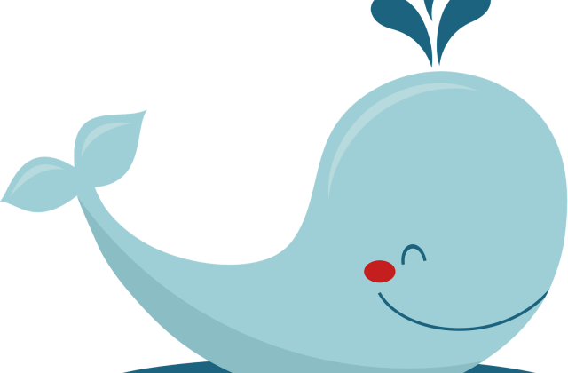 Zoom - Cetacea (640x420)