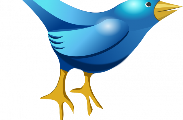 Bird Cartoon - Bird (640x420)