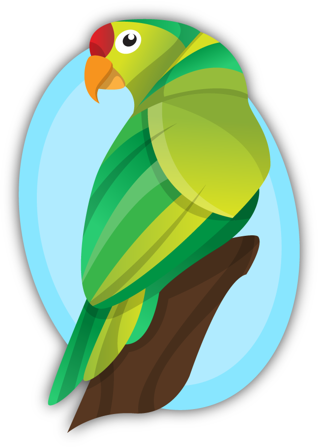 Vector Cartoon Parrot - Vector Graphics (1000x1000)