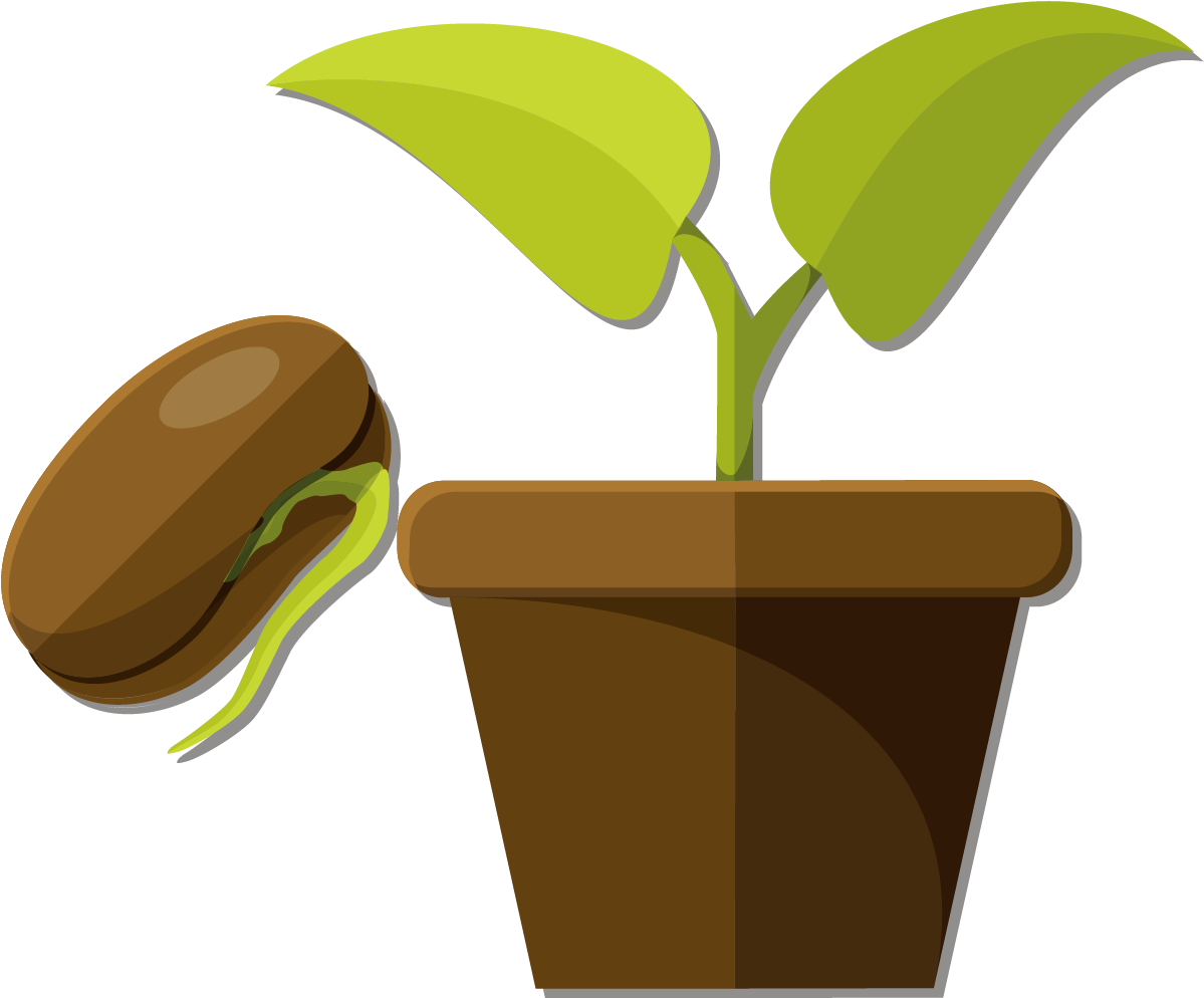 Snow Pea Flowerpot Seed - Vector Graphics (1240x1149)