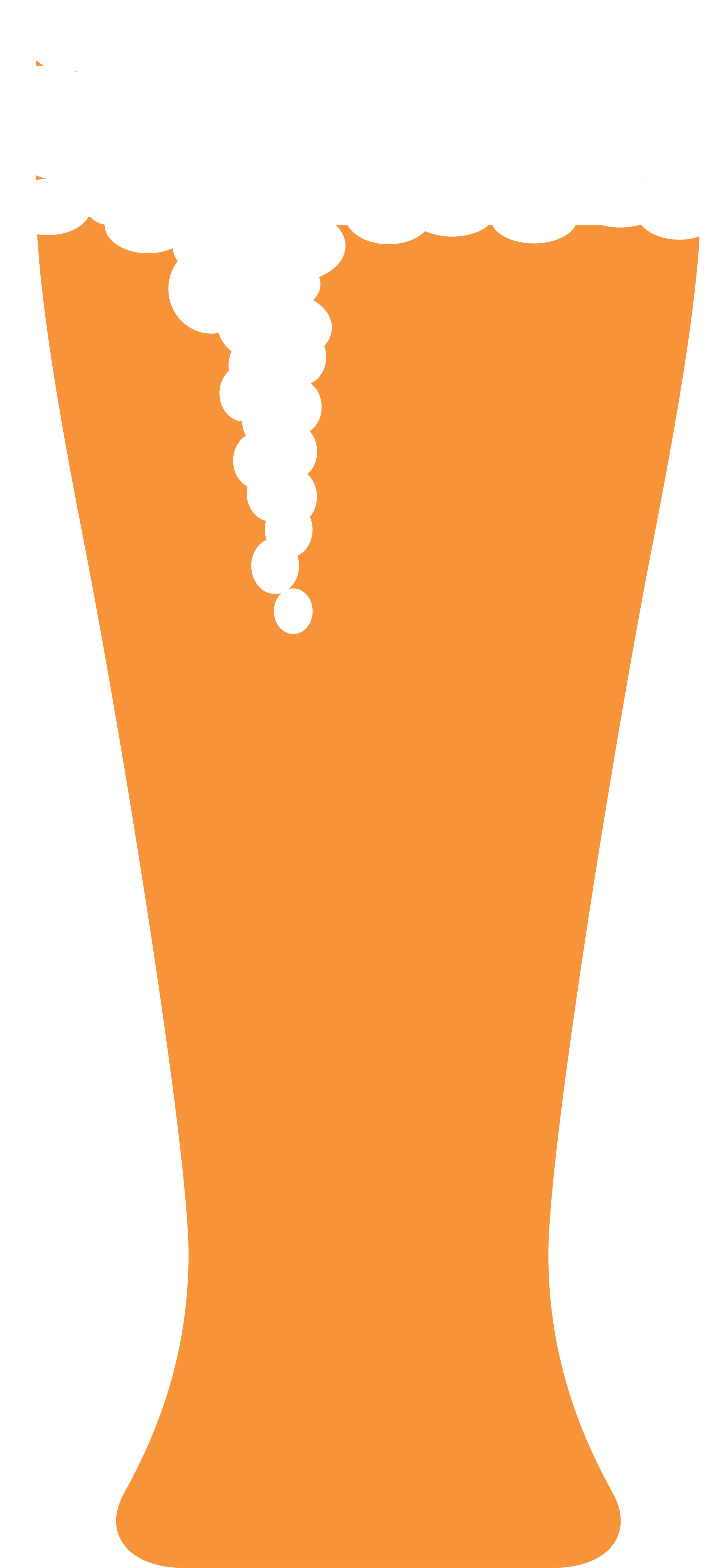 Orange Beer Icon - Icon (2000x4333)