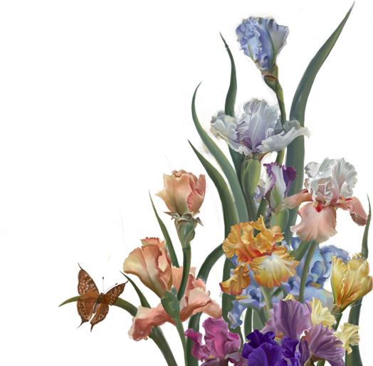 Flowers - Bouquet (524x514)