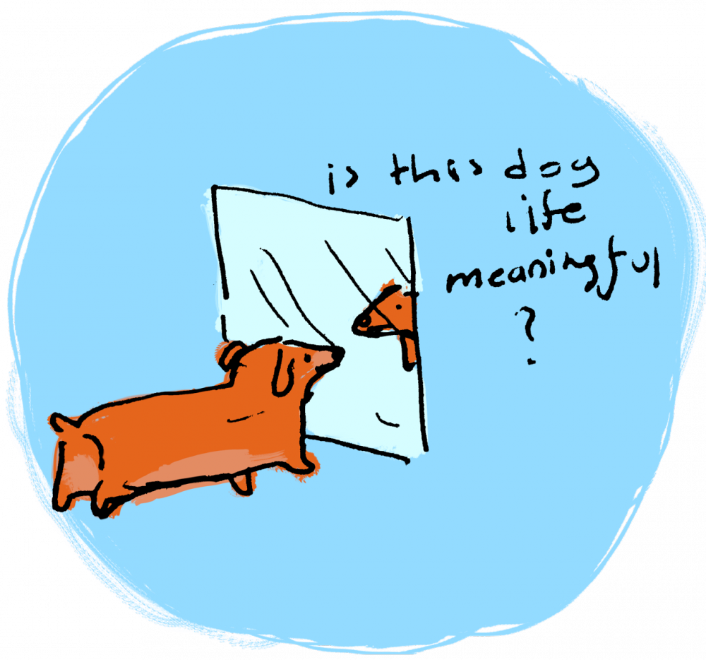 Doglife - Cartoon (1000x934)