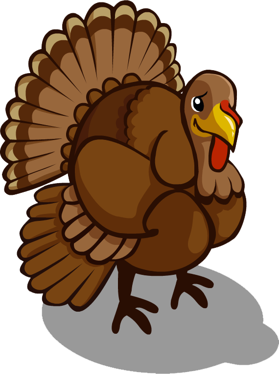 Turkey - Portable Network Graphics (570x762)