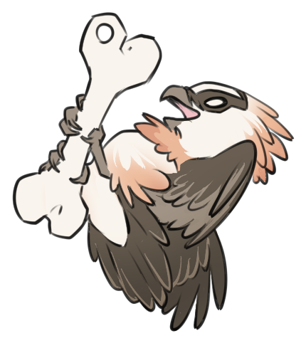 Lammergeier Coloring Pages (481x481)