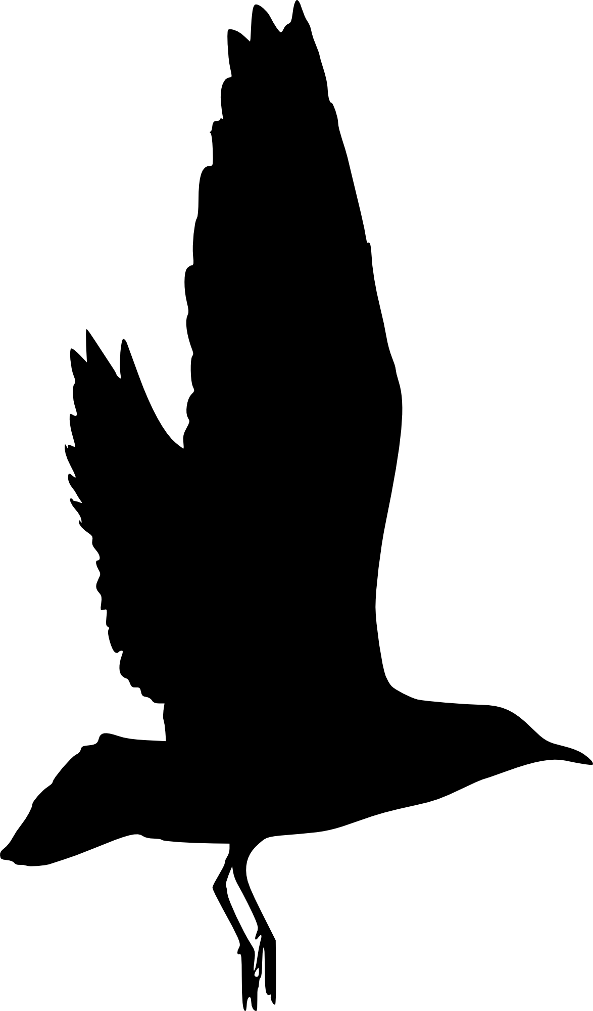 Free Download - Portable Network Graphics (1174x2000)