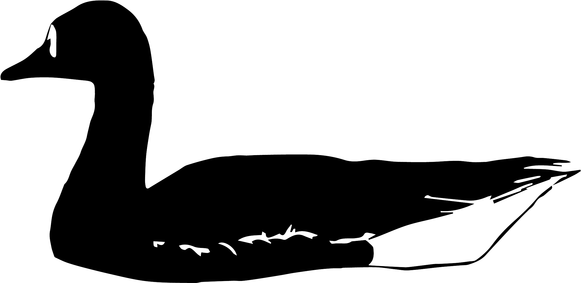 Bird Silhouette - Duck (2446x1179)