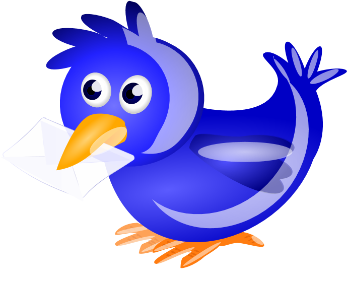 The - Bird (1311x617)