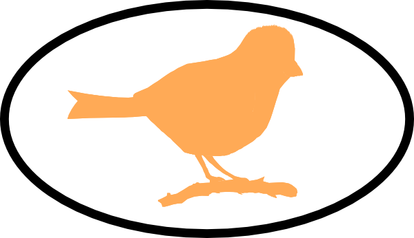 Robin (600x346)