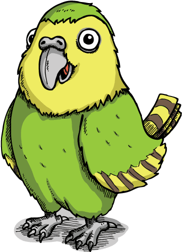 Kakapo Cartoon (392x518)