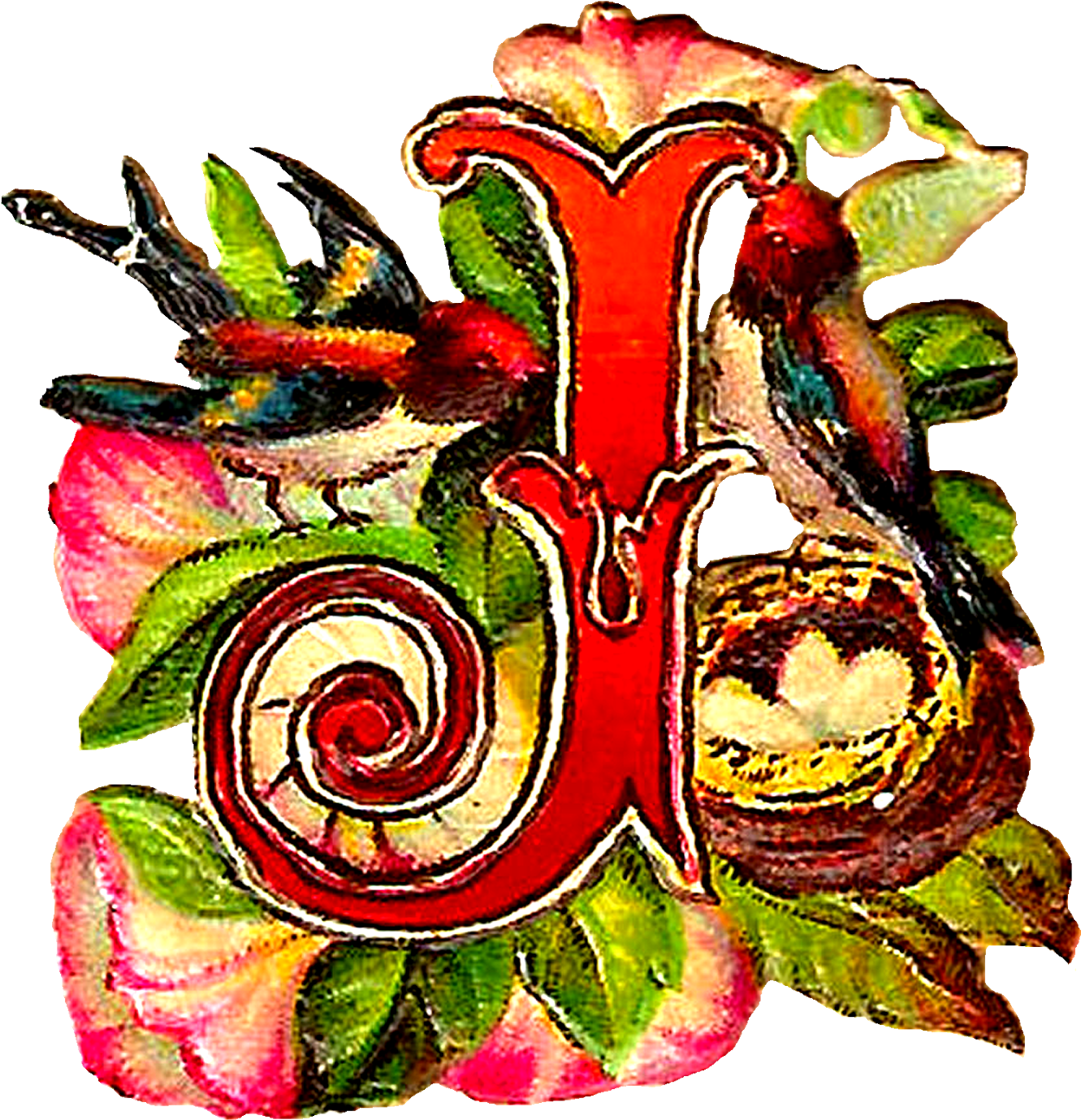 Drop Cap Digital Clip Art - Bird (1600x1592)