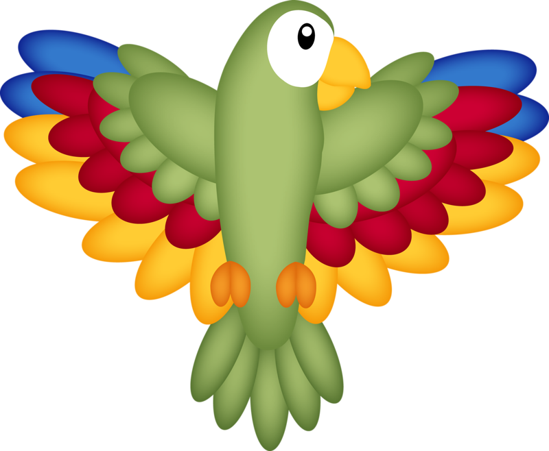 Parrot - Bird Clipart (800x658)