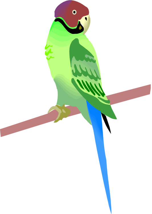 Free - Clip Art (534x750)