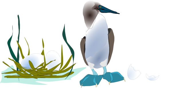 Seabird (600x352)
