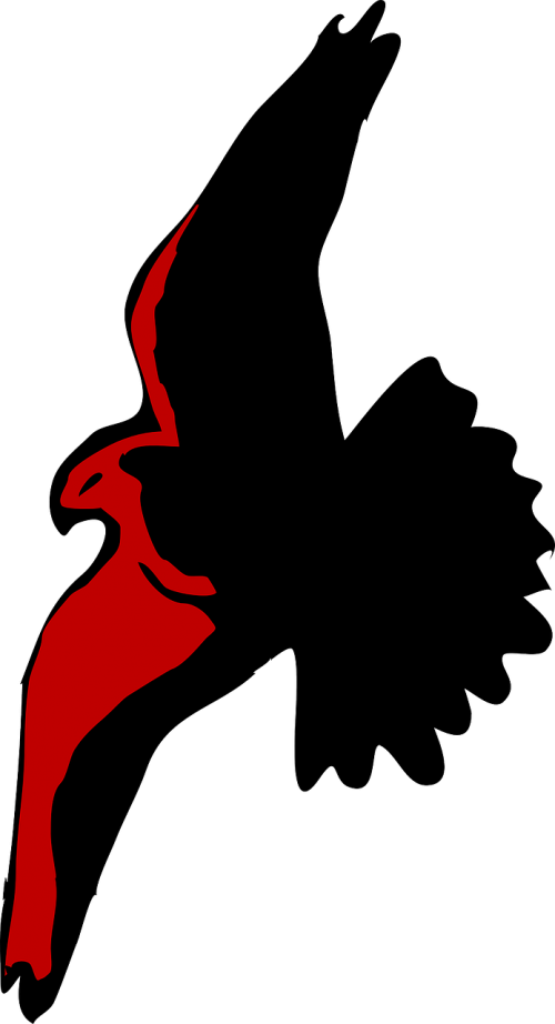 Cartoon Hawk Flying (500x922)