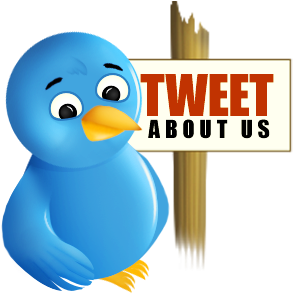 Network,social,sn - Twitter Bird (360x360)