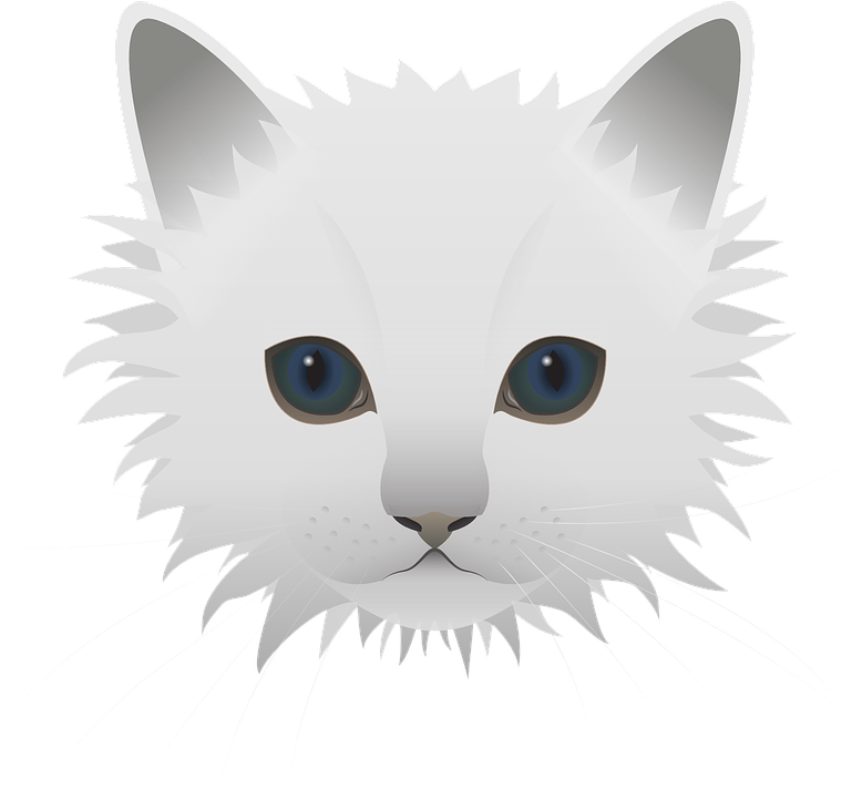 Animal - Vector Graphics (790x720)