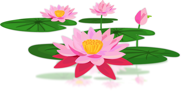 Lotus Png (590x298)
