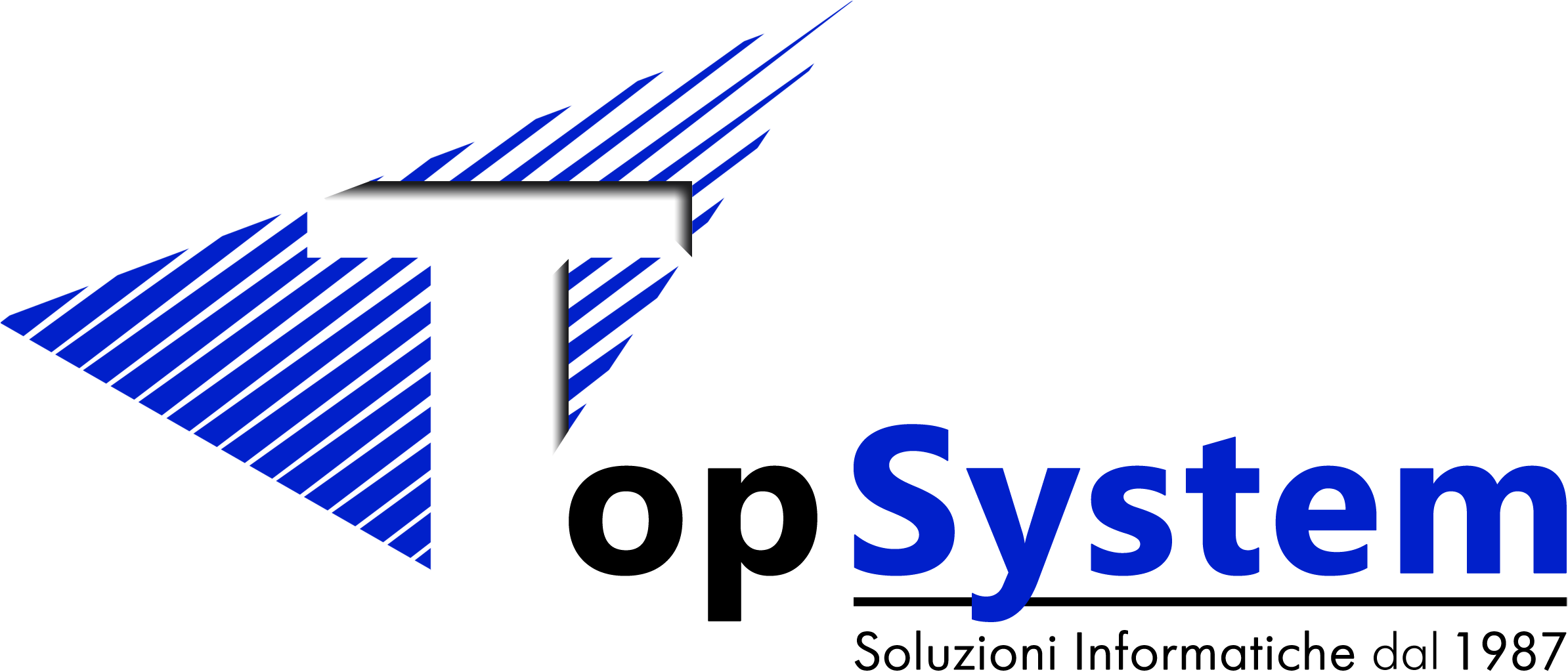 Top System Srl - Graphic Design (2480x1120)