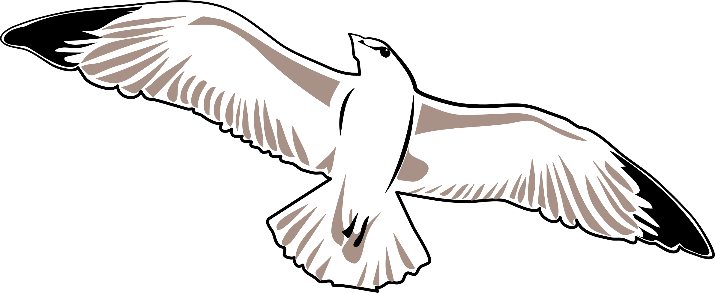 Big Image - Vector Graphics (2384x977)