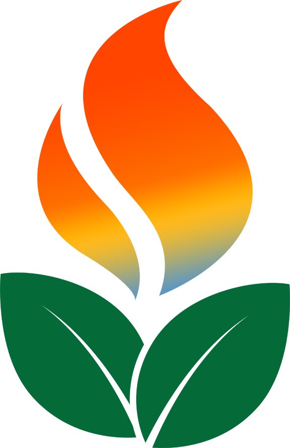 Fire Flower - Strain (575x888)