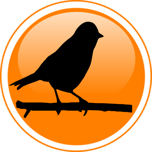 Bird (512x512)