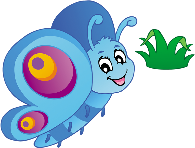 Butterfly Cartoon Insect Drawing Clip Art - Cartoon Pictures Of Insects (900x752)