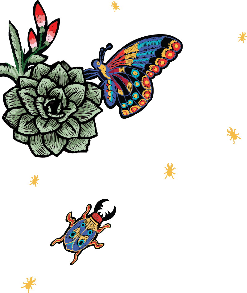 Butterfly - Bugs-desktop - Mobile Phone (801x951)