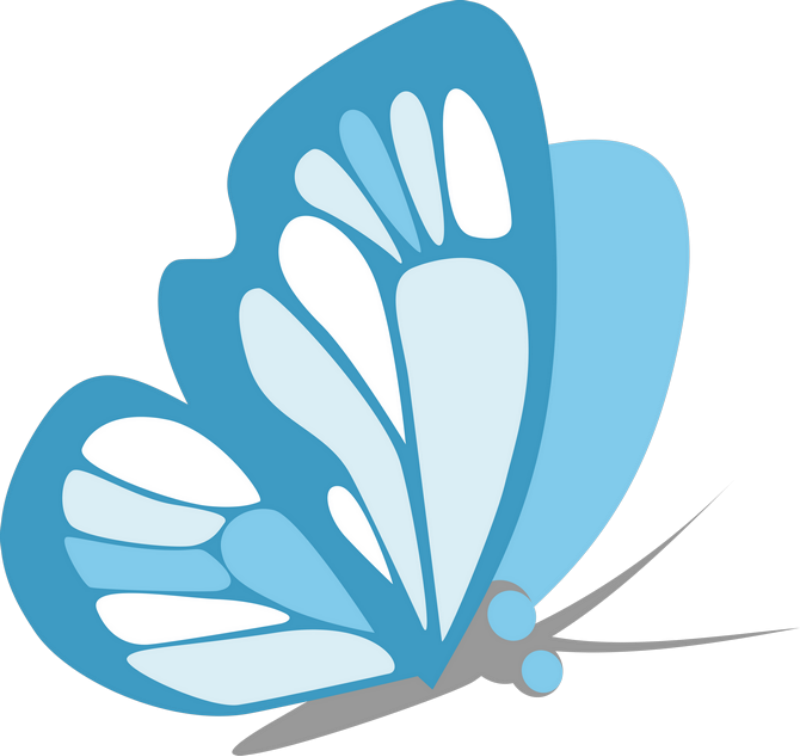 ‿✿⁀butterflies‿✿⁀ - Cartoon (800x756)