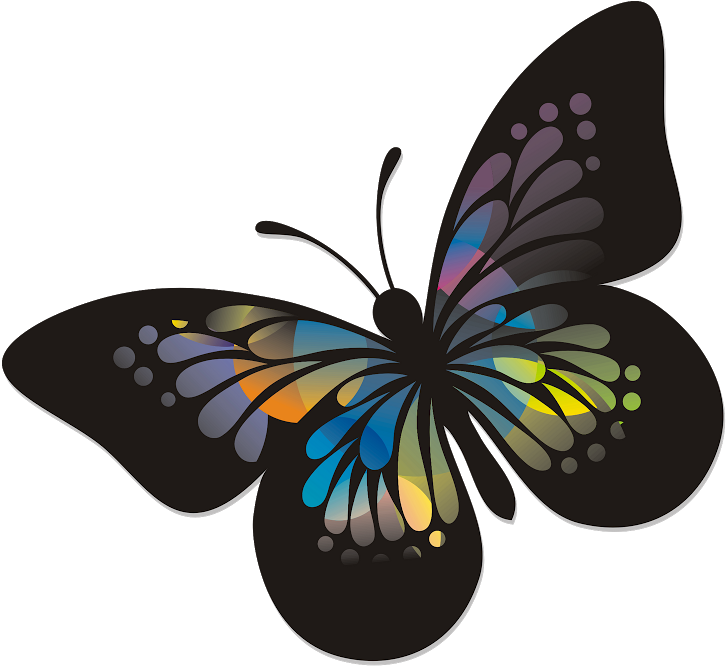 Butterfly - Vanity Case Madisson Borabora Blanc (800x698)