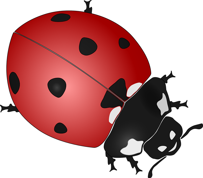 Lady Bugs - รูป แมลง เต่าทอง การ์ตูน น่า รัก (2400x2108)