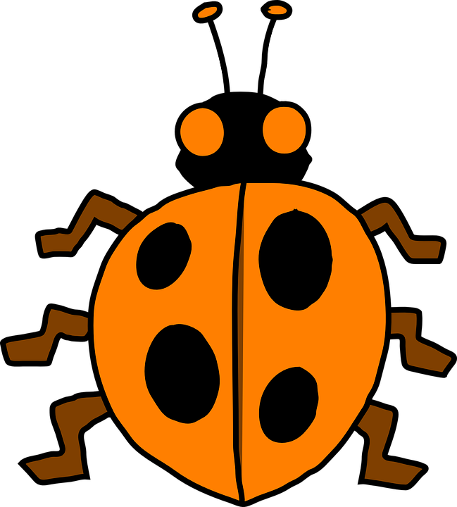 Lady Bug Cartoon 23, - Vector Graphics (649x720)