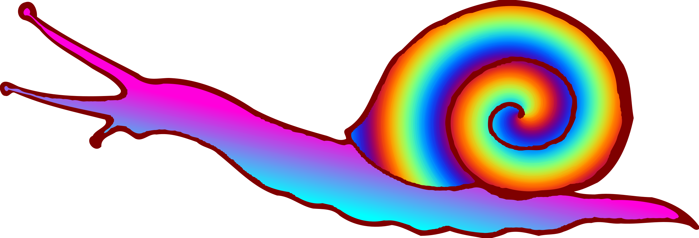 Snail - Snails Clipart (2400x818)