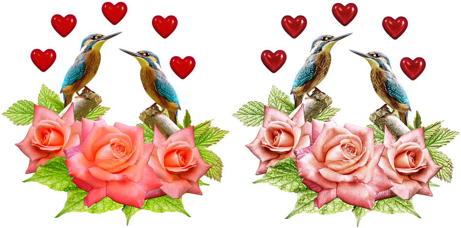 Garden Roses (960x480)