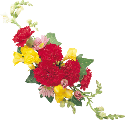 #374 - Bouquet (500x481)