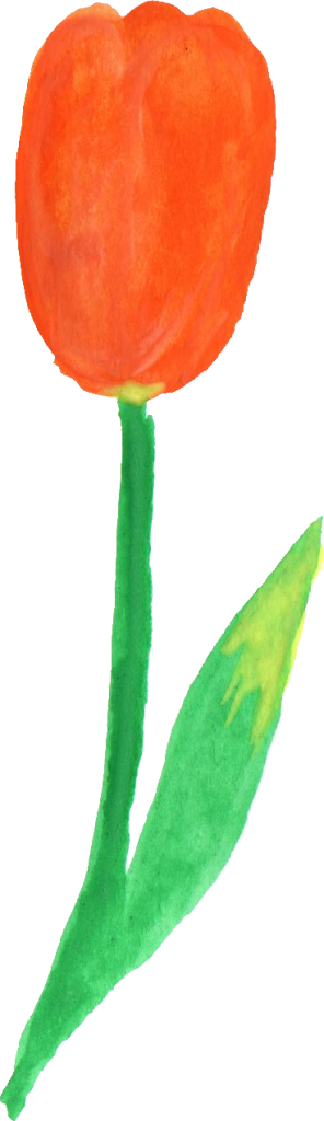 Png File Size - Tulip (296x1024)
