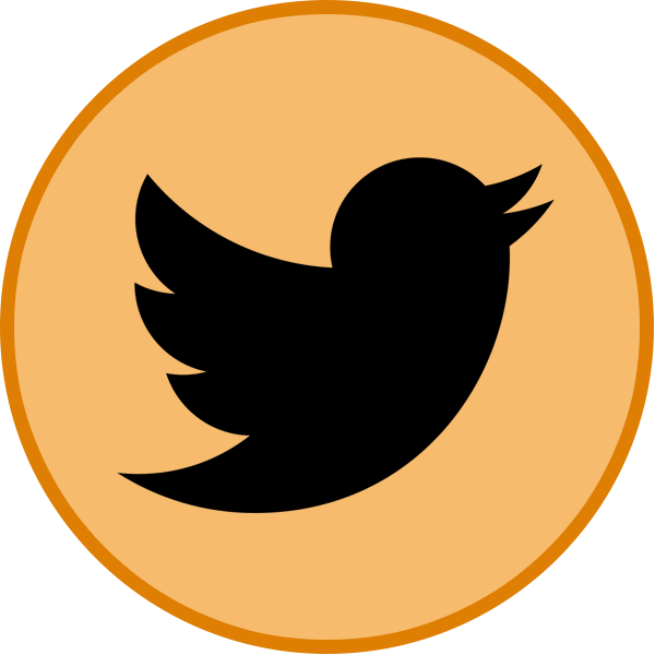Twitter (600x600)