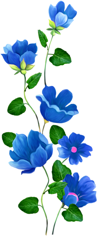 Яндекс - Фотки - Blue Flower Border (341x800)