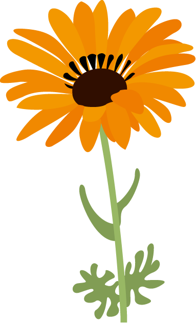 春の花1 12 ジャノメギクイラスト - Sunflower (383x631)