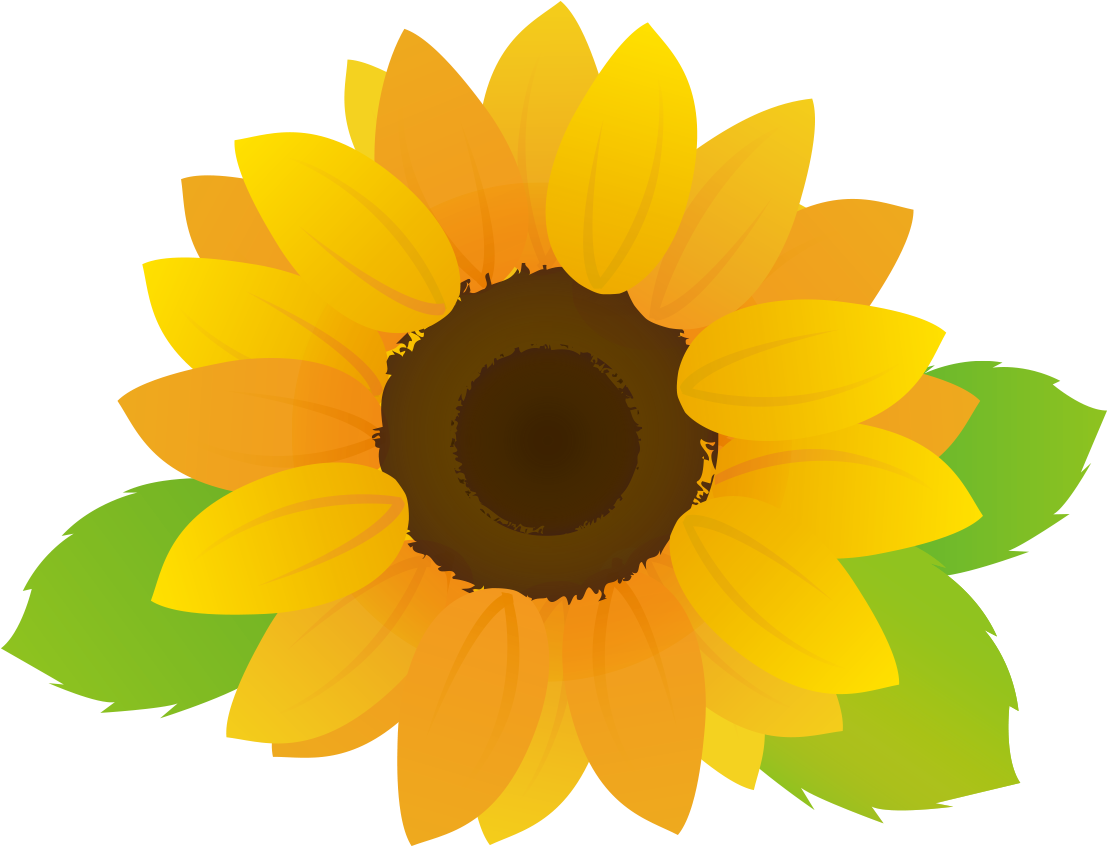 大きなひまわりの花 - Sunflower (1181x1181)