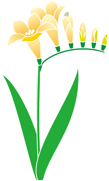 春の花3 22 フリージアイラスト - 春の花3 22 フリージアイラスト (381x633)