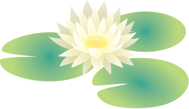夏の花3 05 スイレンイラスト - Illustration (631x364)