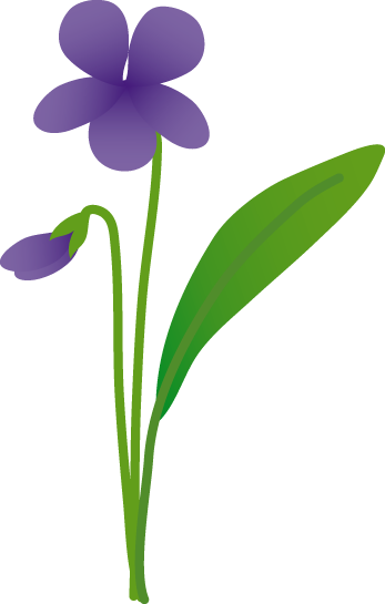 3, - すみれ 花 簡単 絵 (347x545)